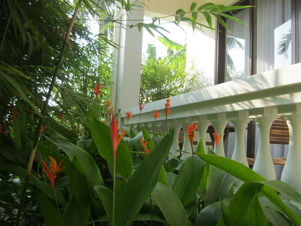 Palm View Villa Хойан Экстерьер фото